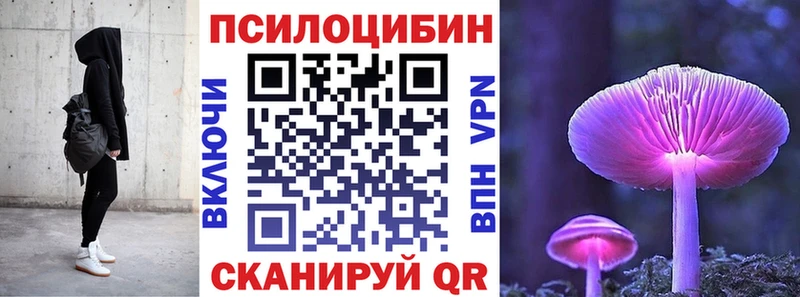 что такое наркотик Сухой Лог Псилоцибиновые грибы GOLDEN TEACHER